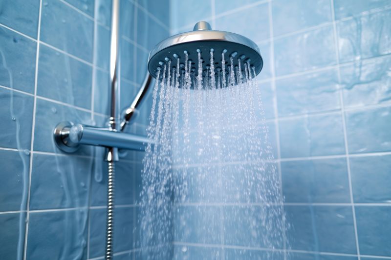 High-End Showerhead